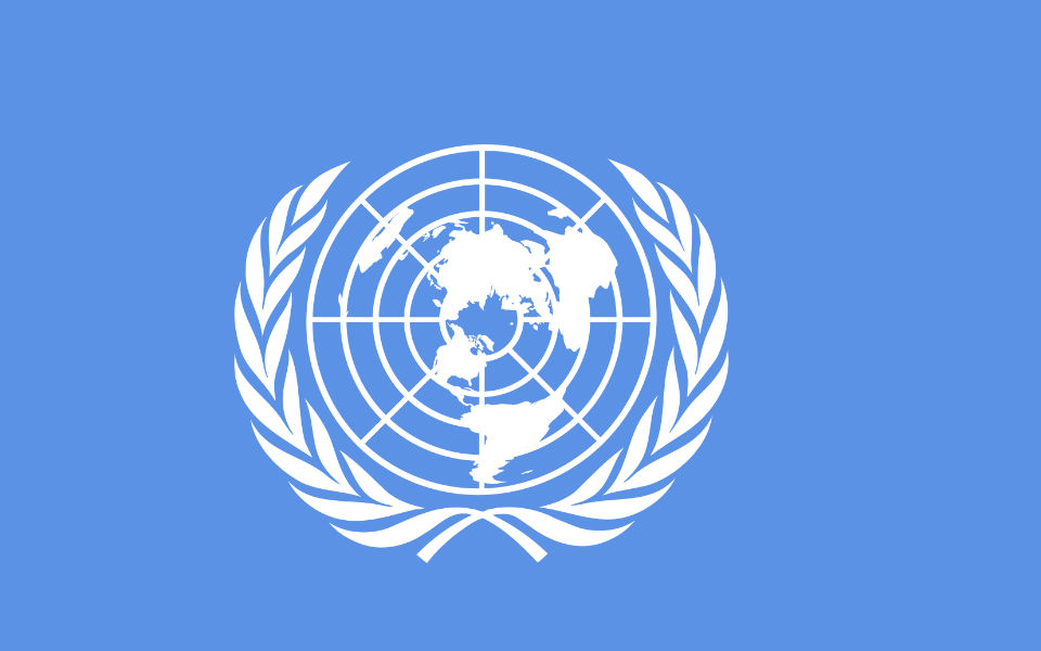 Gradual economic recovery seen in India: UN ESCAP